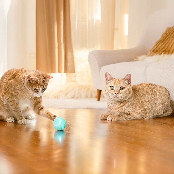 Electric Smart Ball Toy for Pets