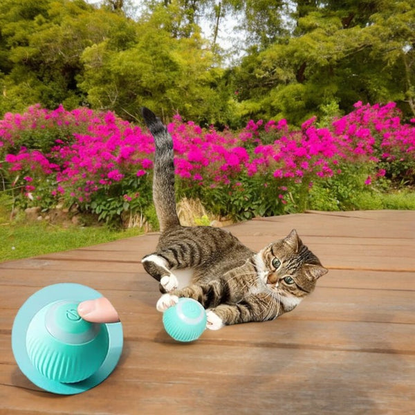 Electric Smart Ball Toy for Pets