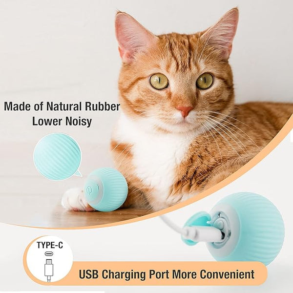 Electric Smart Ball Toy for Pets